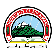 جامعة السليمانية