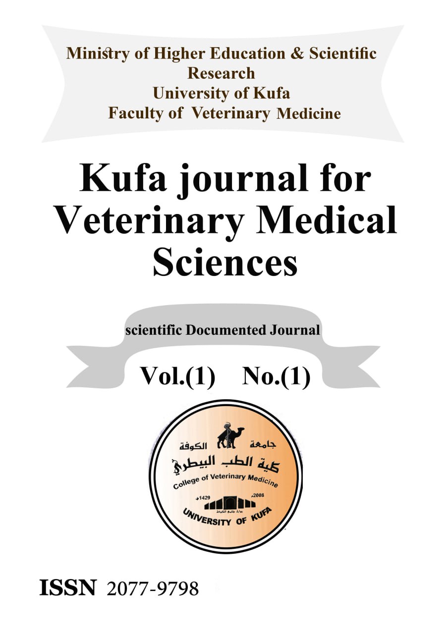 Issue 1