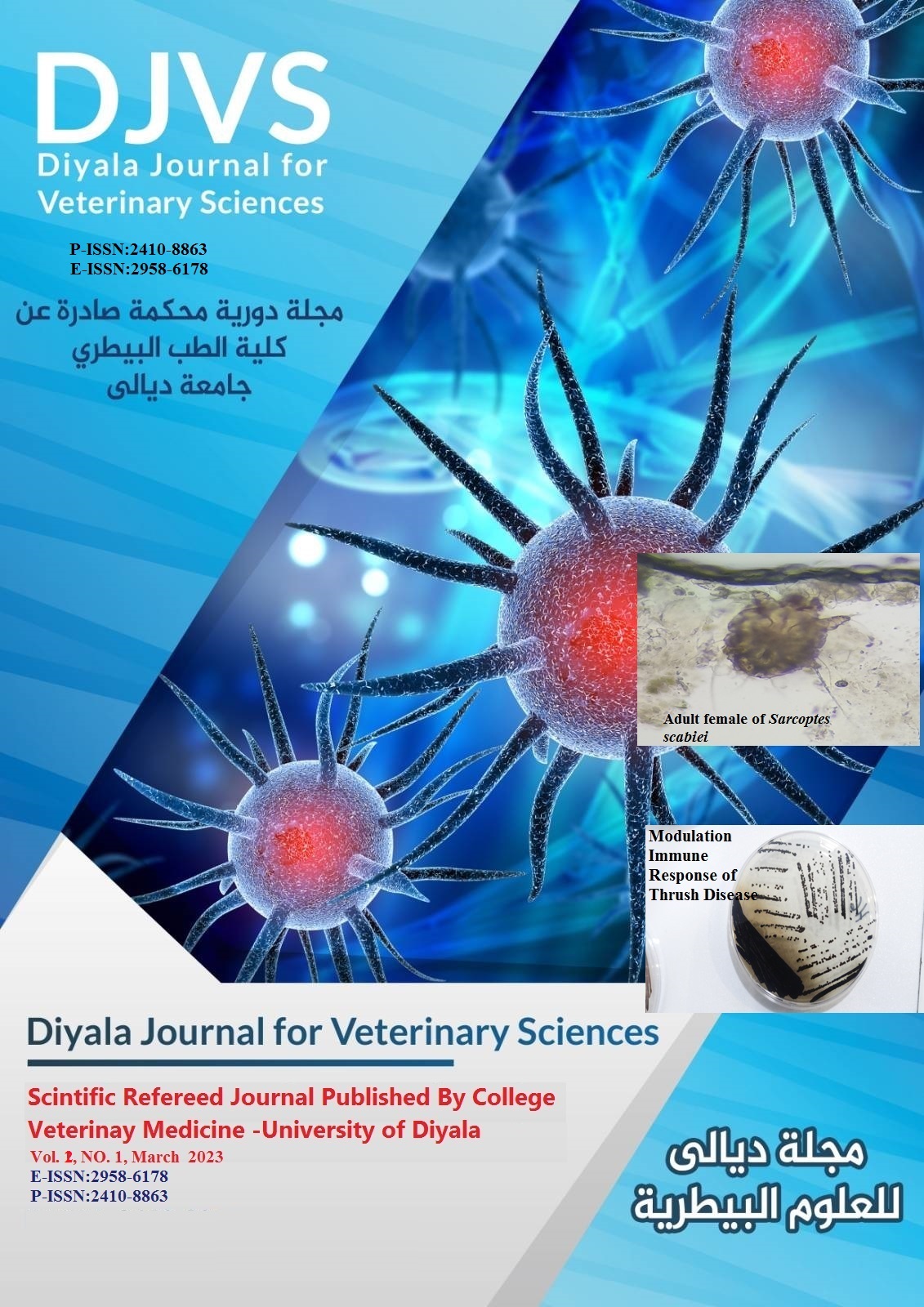 Issue 1