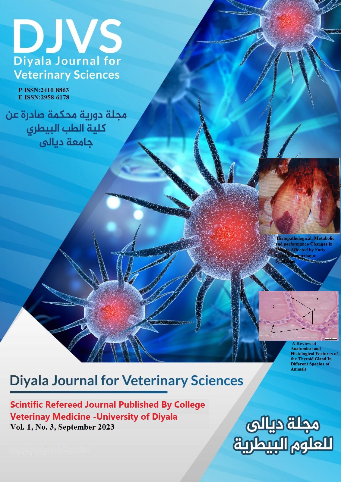 Issue 3
