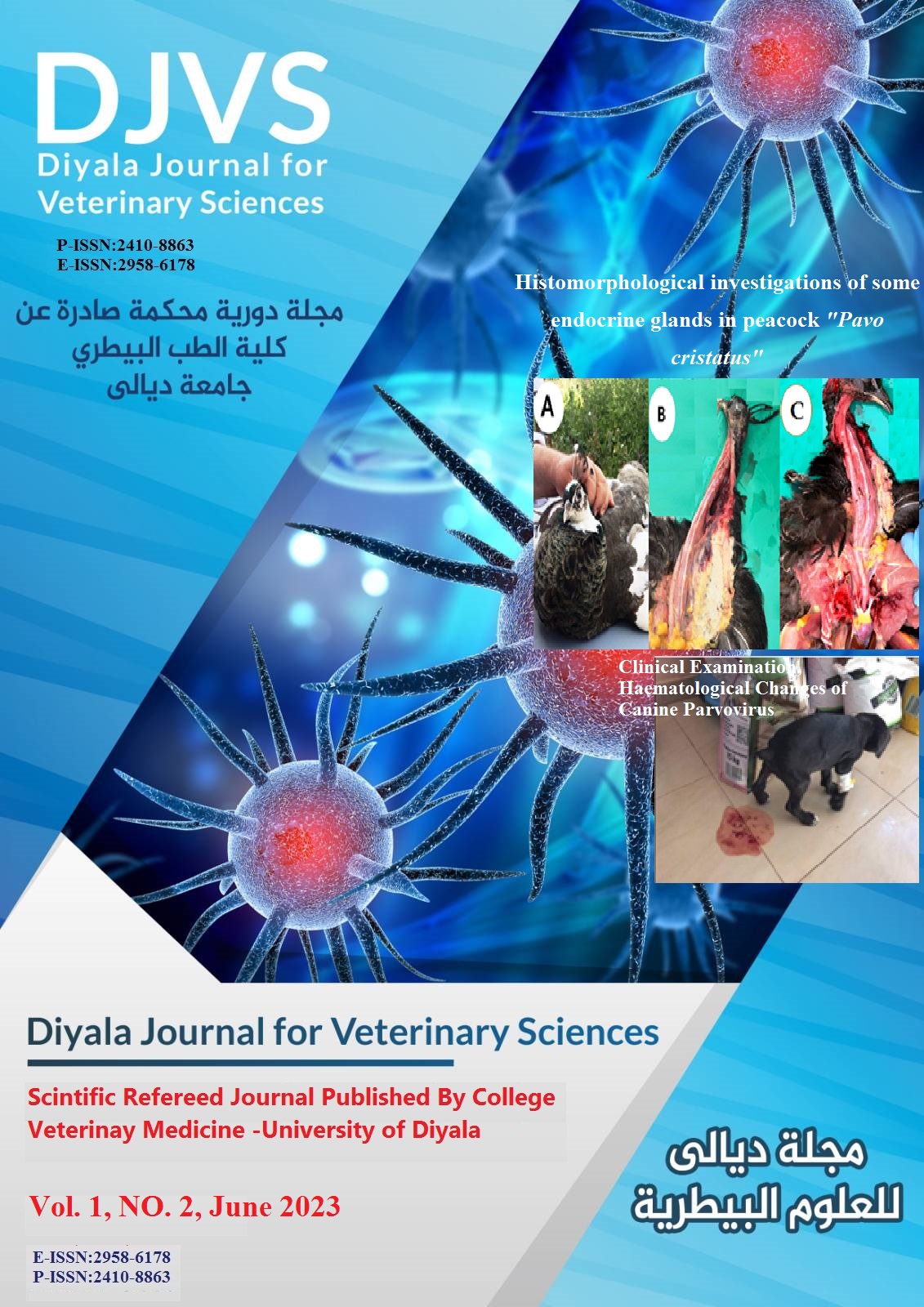 Issue 2
