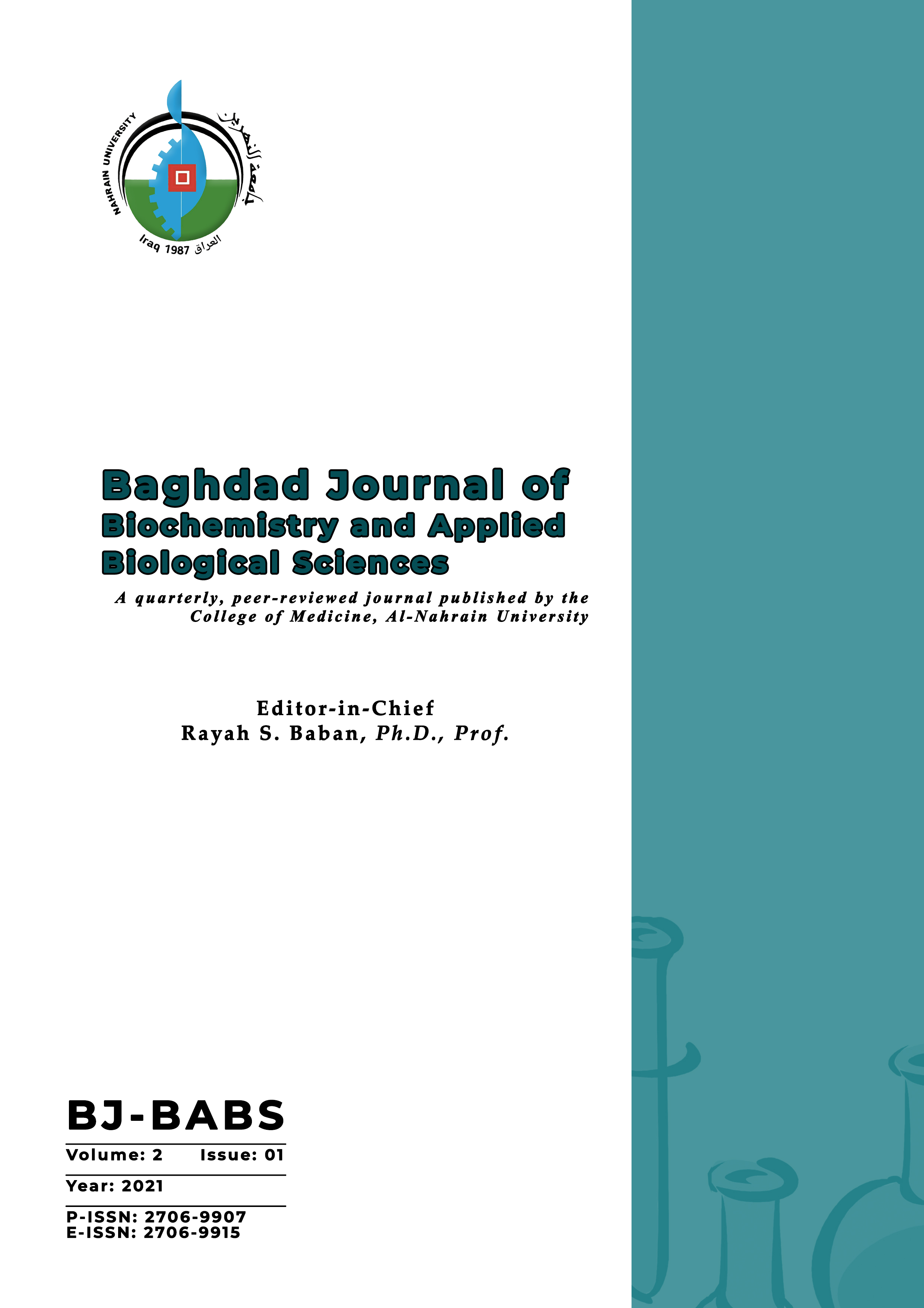 Issue 1