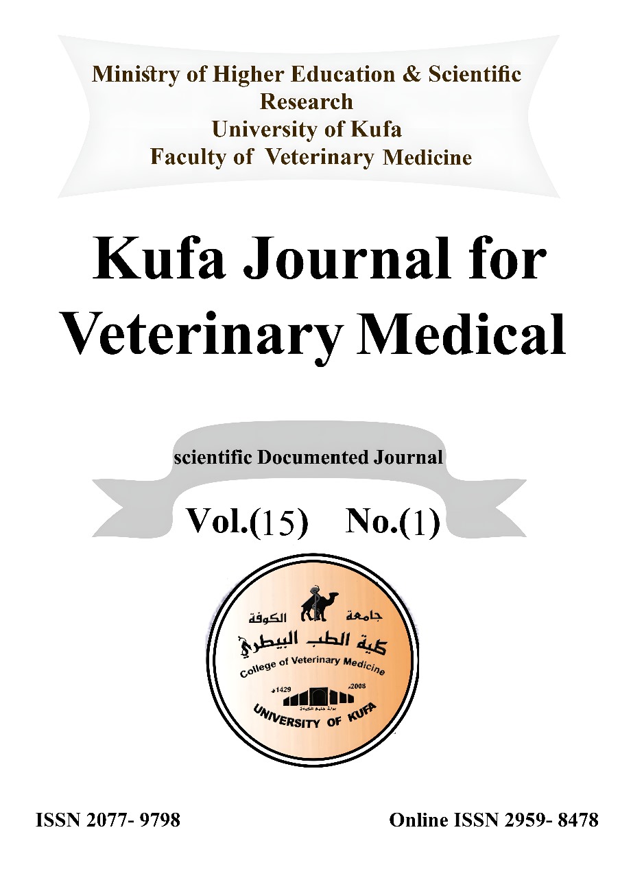 Issue 1