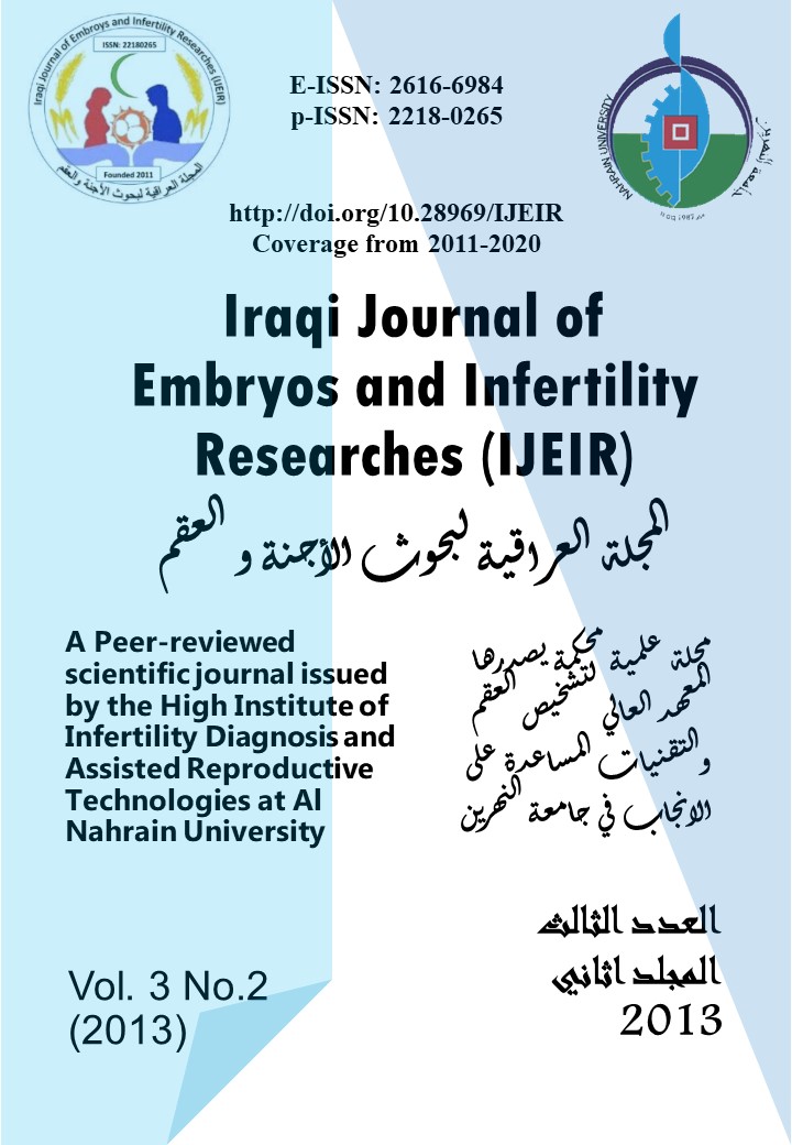 Issue 2
