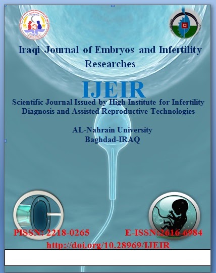 Issue 2