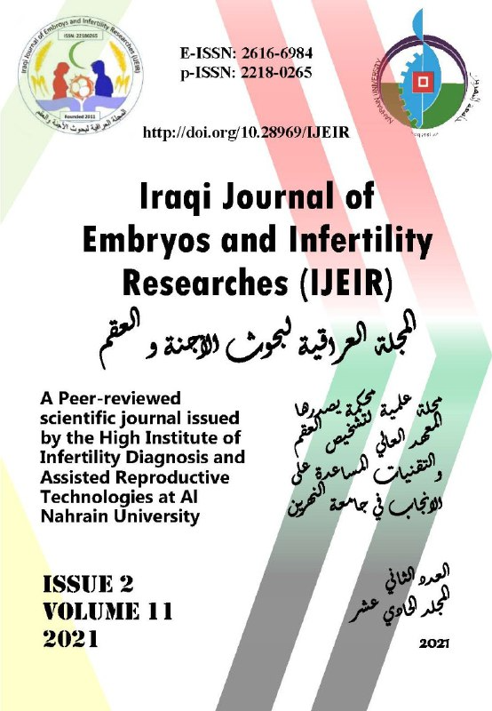 Issue 2