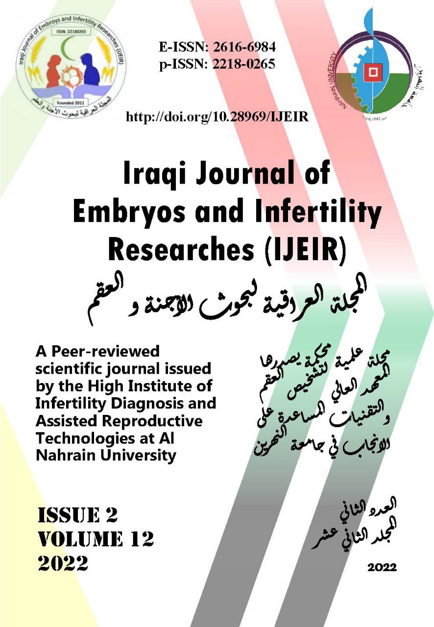 Issue 2