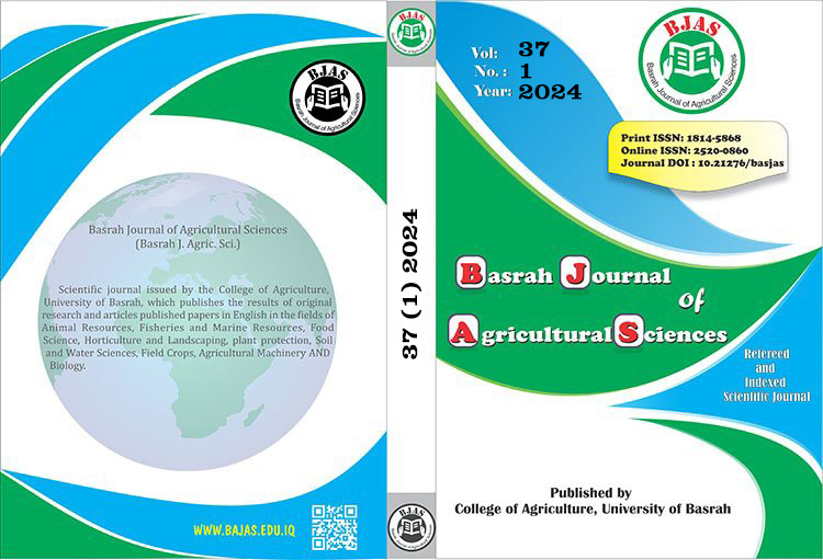 Issue 1