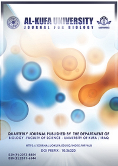 Issue 1