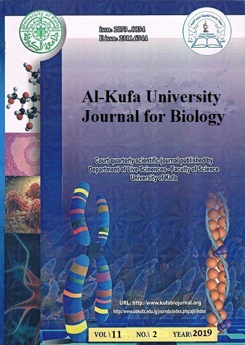 Issue 2