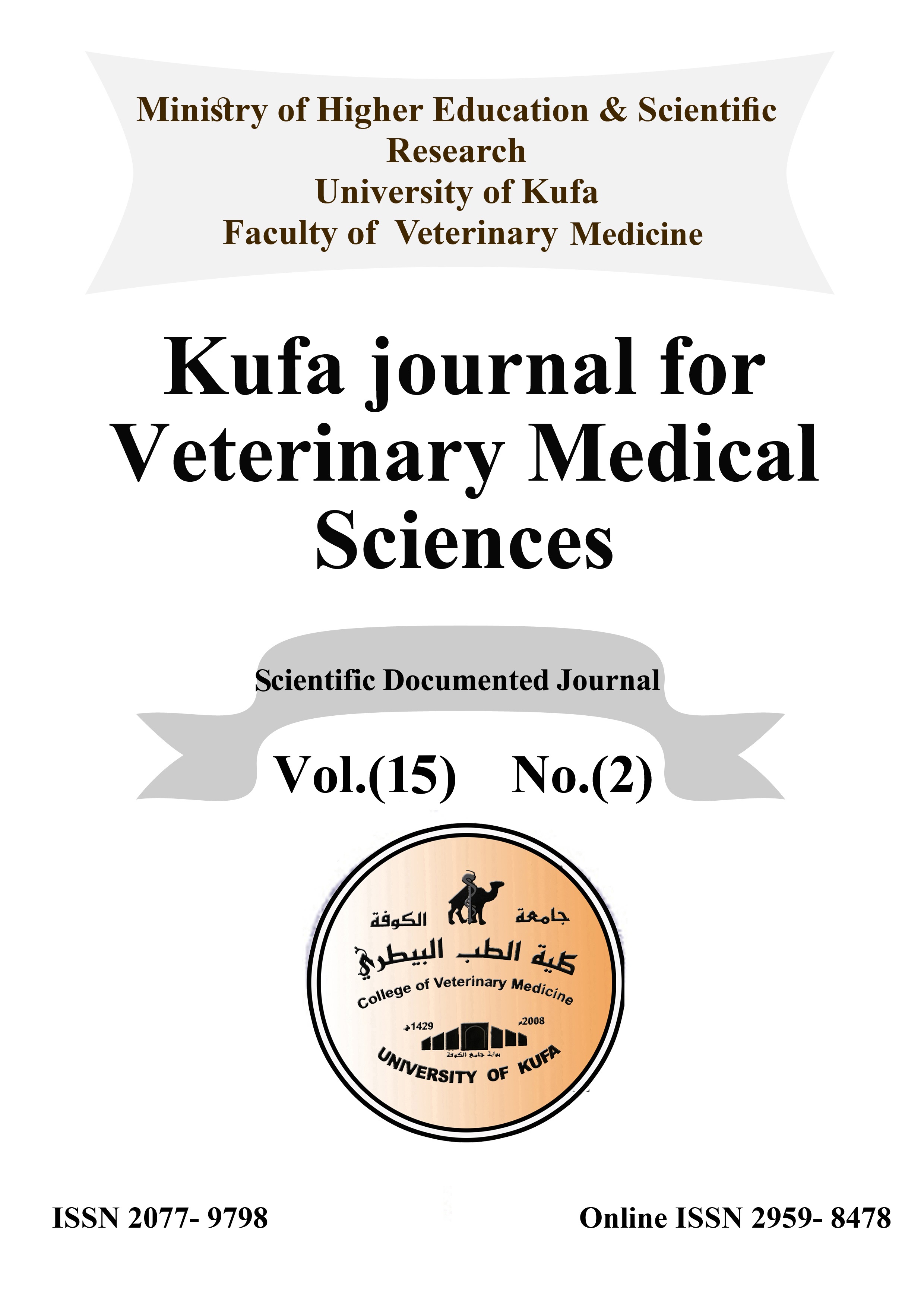 Issue 2