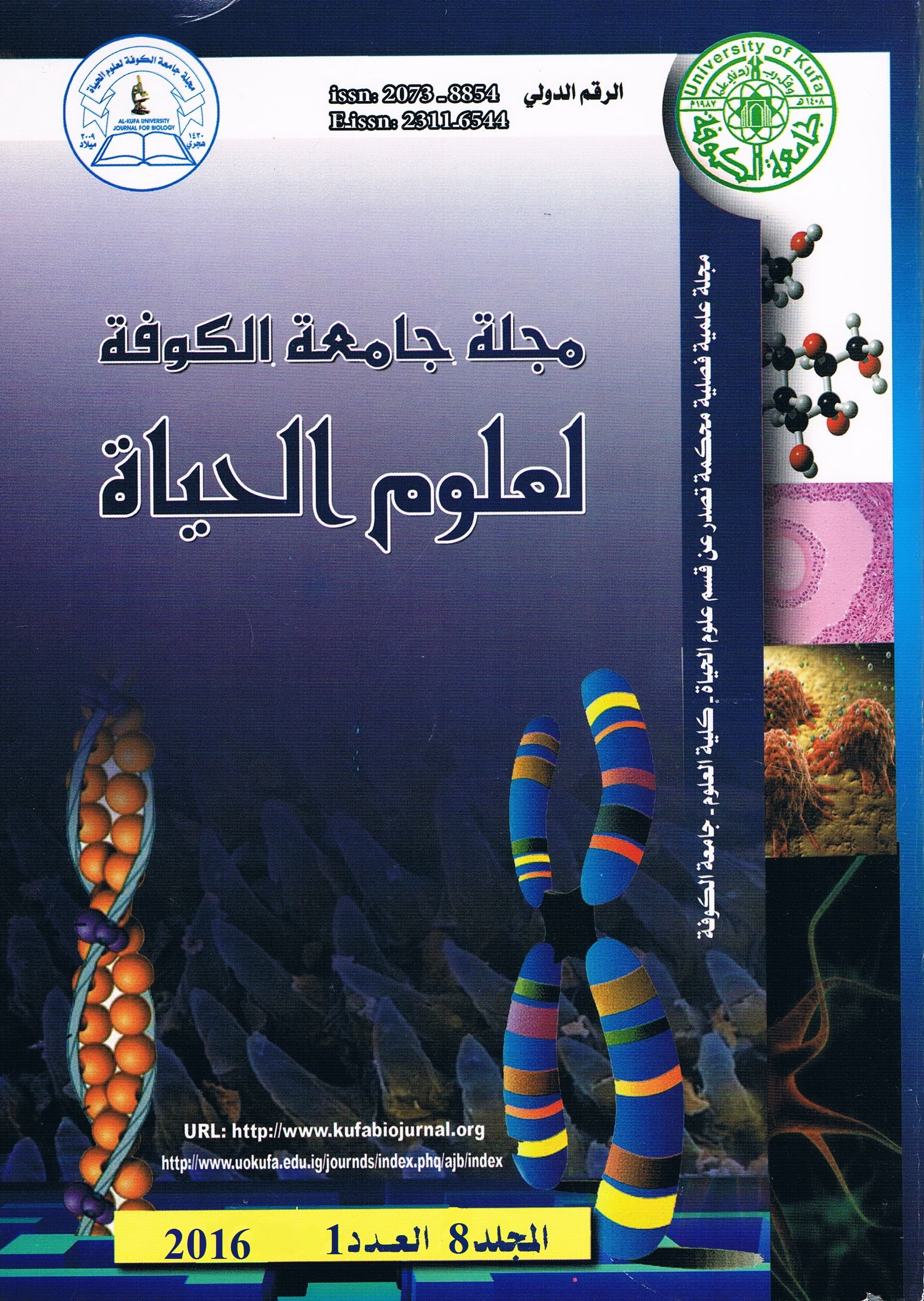 Issue 1