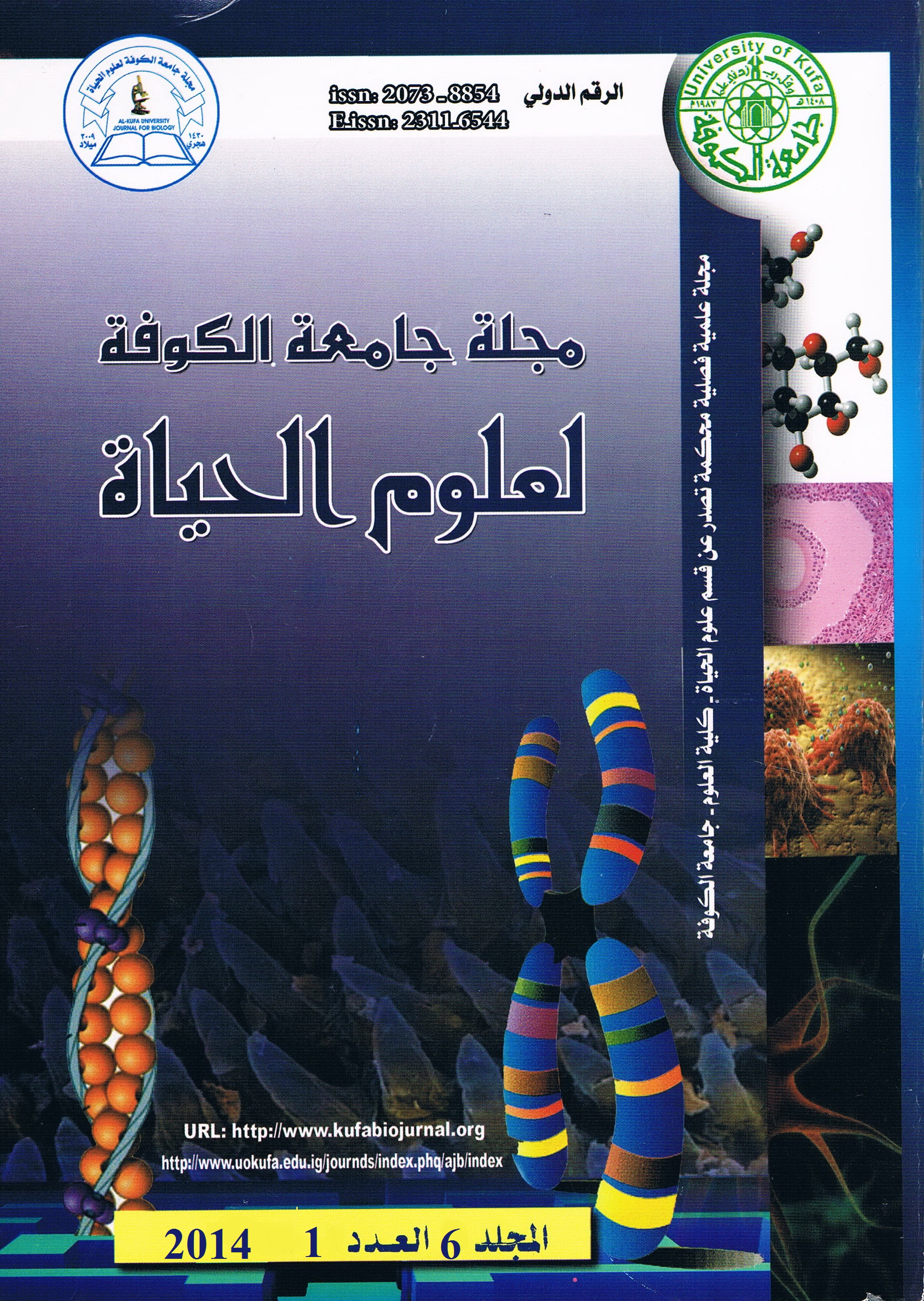 Issue 1