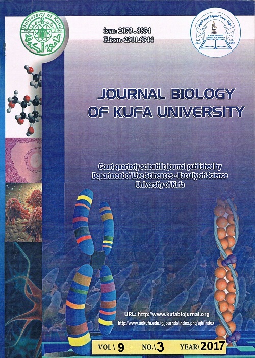 Issue 3