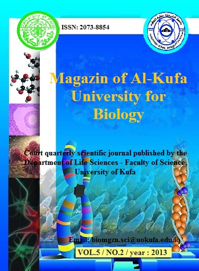 Issue 2