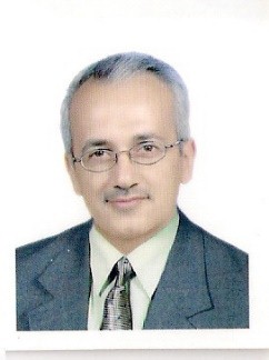 Majid Hameed Ahmed