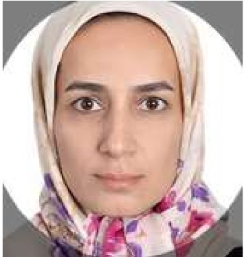 DR.  Mahboubeh Rezaei