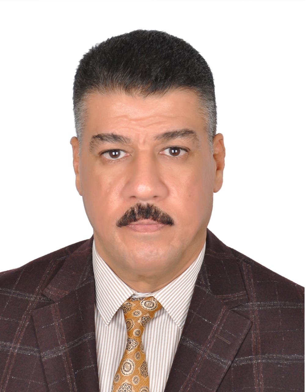 Safaa Mustafa Hameed