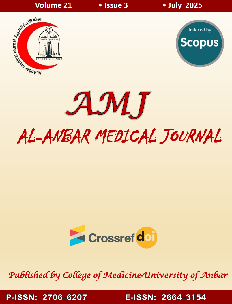 Issue 3