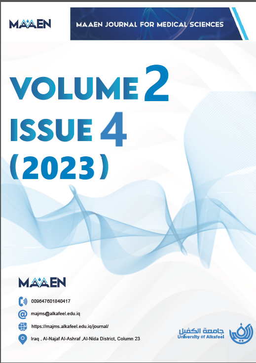 Issue 4