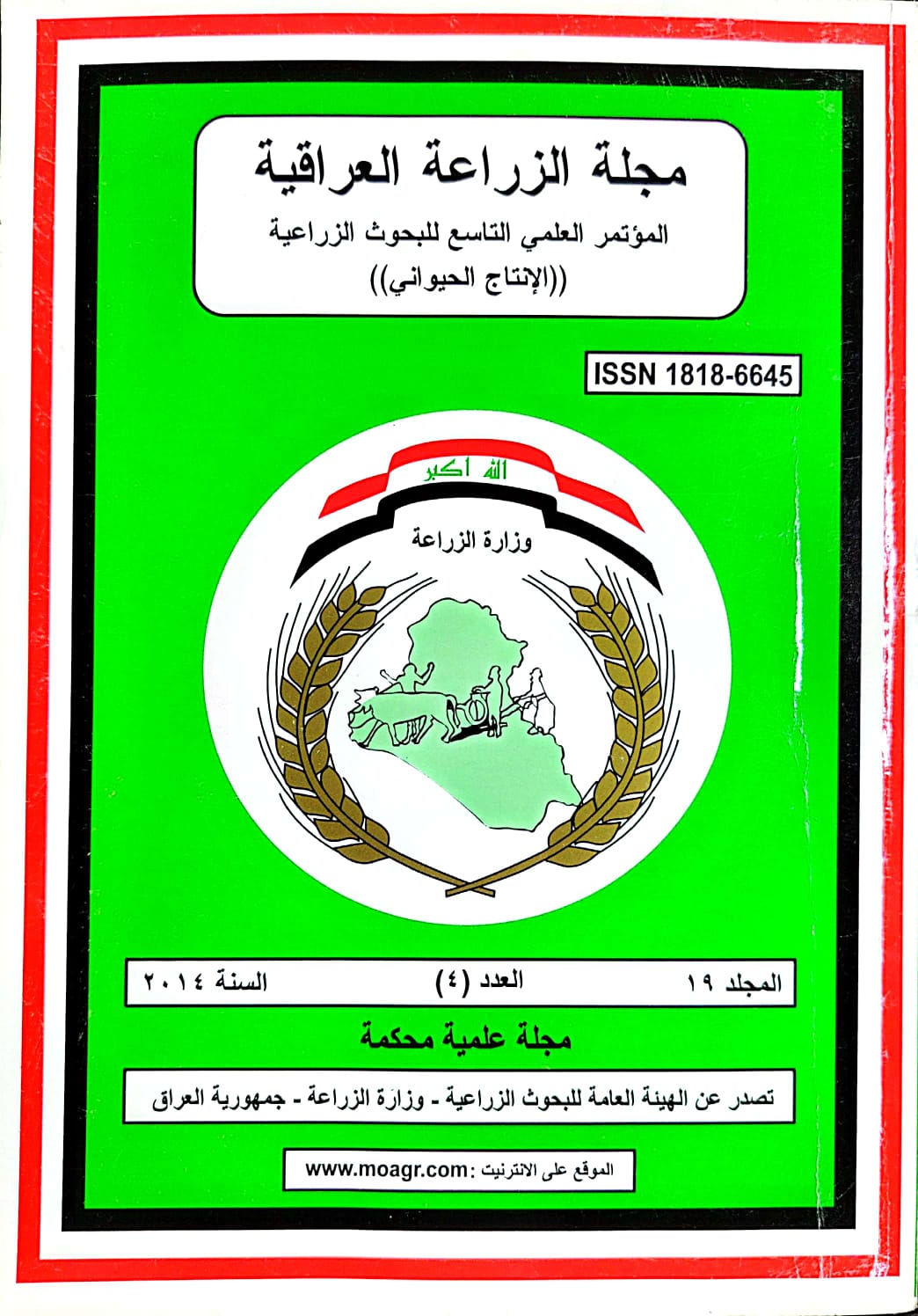 Issue 4