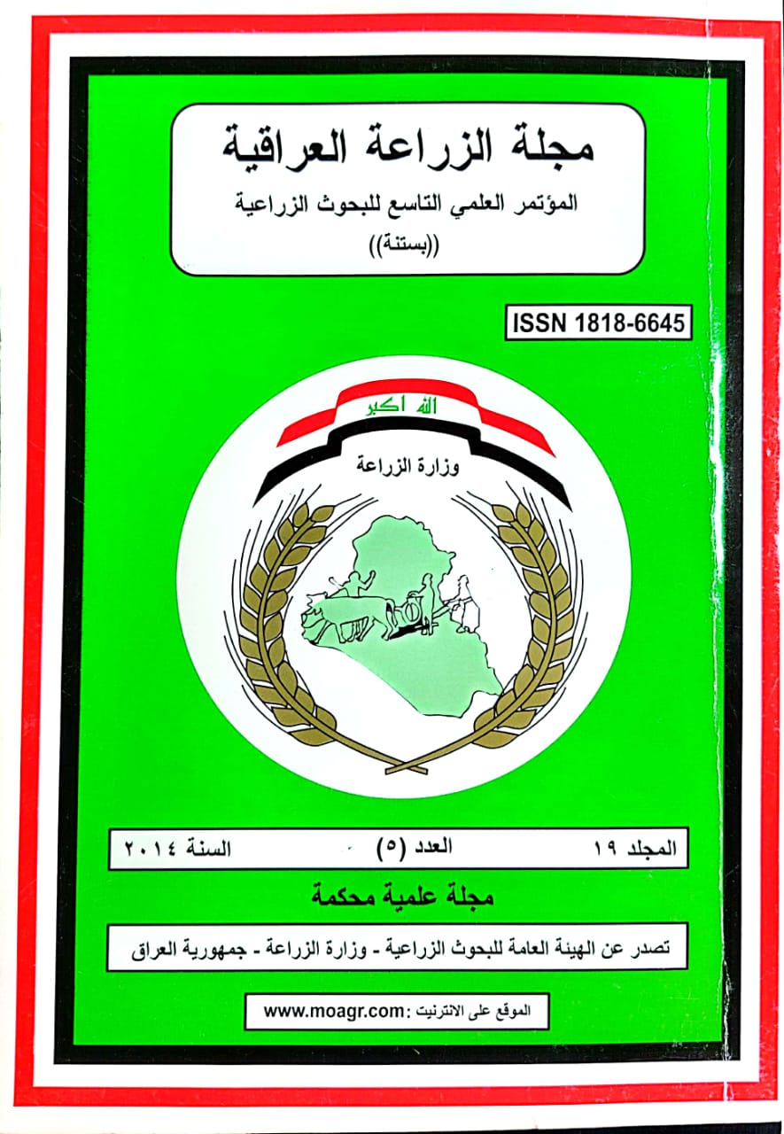 Issue 5