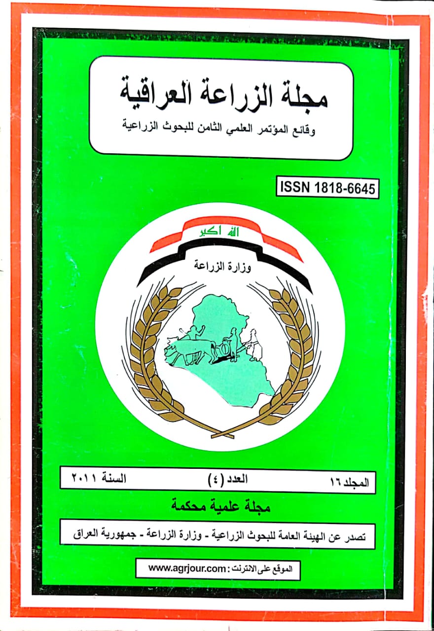 Issue 4