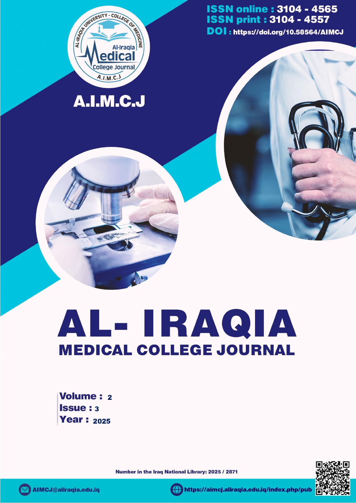 Issue 3