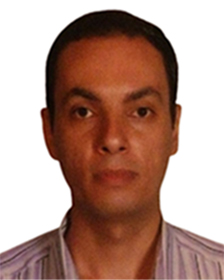 Waleed Ahmed Abido