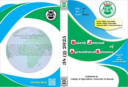 Issue 2