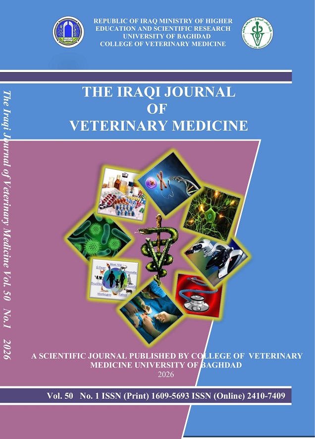 Issue 1